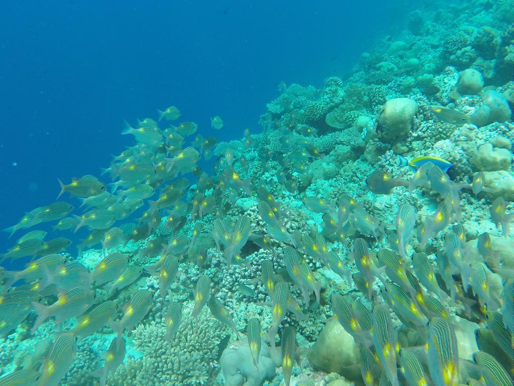 Ras Beach Inn Rasdhoo Luaran gambar