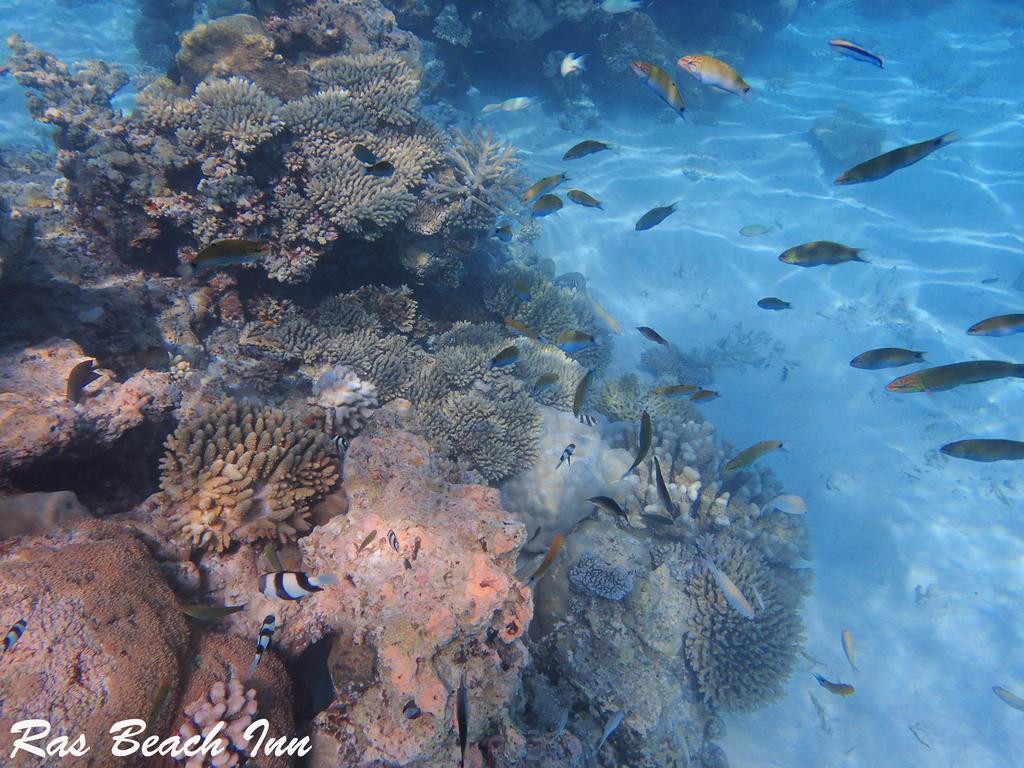 Ras Beach Inn Rasdhoo Luaran gambar