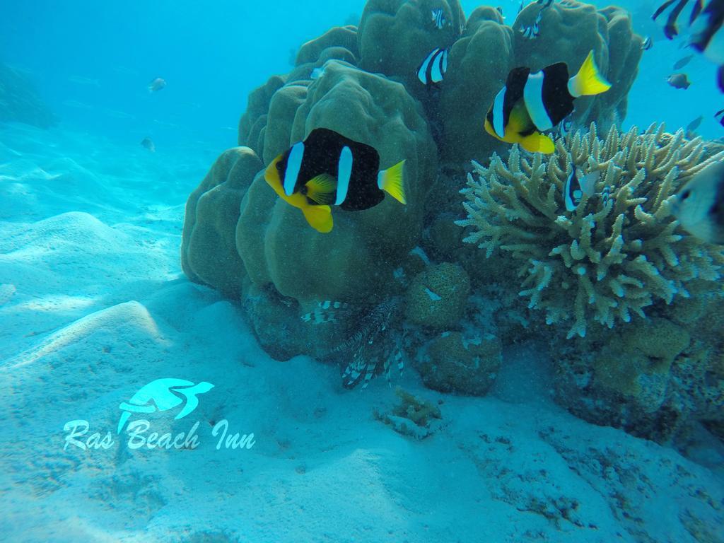 Ras Beach Inn Rasdhoo Luaran gambar
