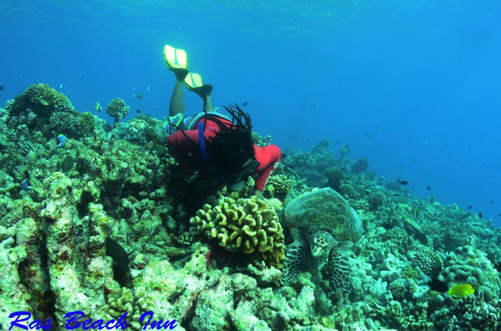 Ras Beach Inn Rasdhoo Luaran gambar