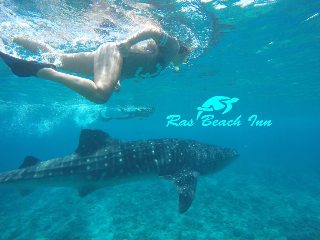 Ras Beach Inn Rasdhoo Luaran gambar